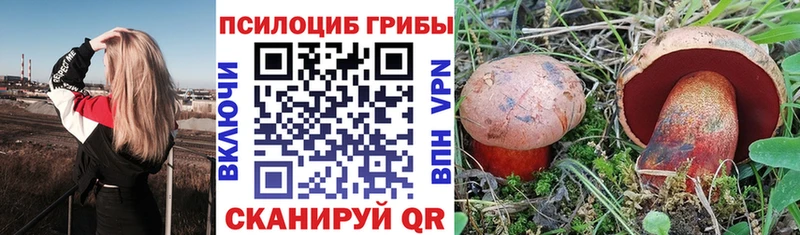 Галлюциногенные грибы мицелий  купить наркоту  Балей 